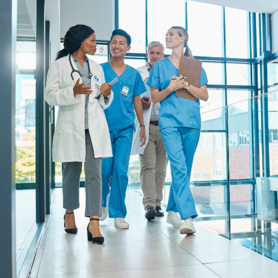 Health systems researchers